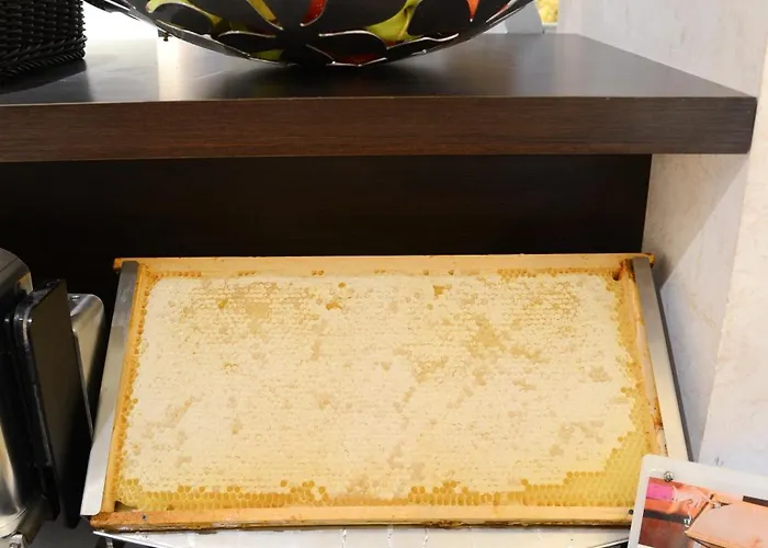 Trilussa Palace Congress&spa Hotel 4*